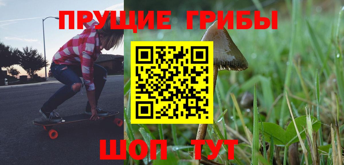цены наркотик  Галлюциногенные грибы Psilocybine cubensis  Вход с VPN  Приморско-Ахтарск 