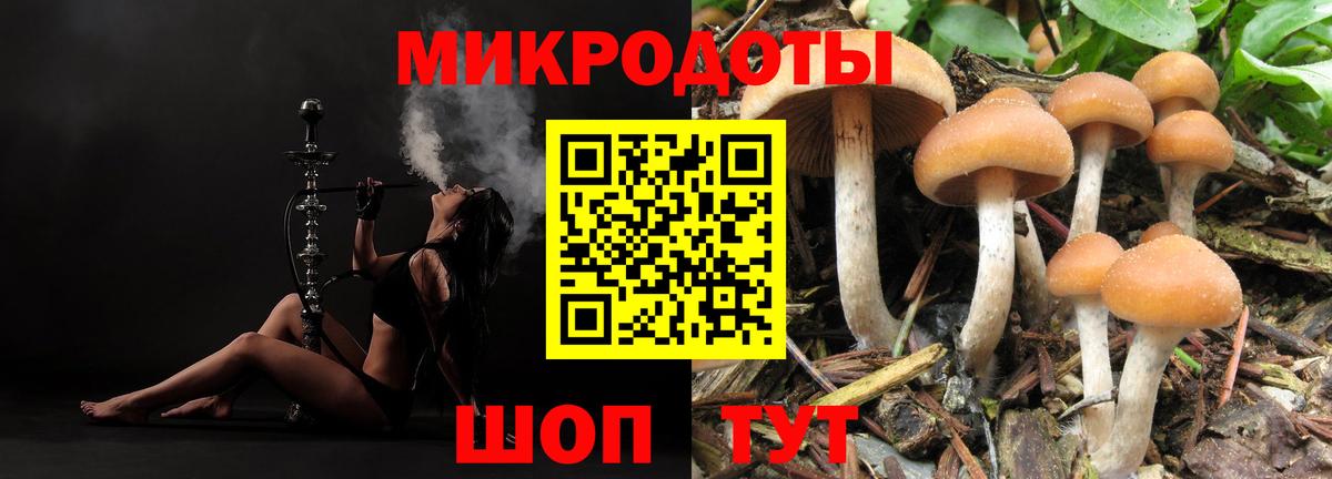 Псилоцибиновые грибы Psilocybine cubensis Приморско-Ахтарск